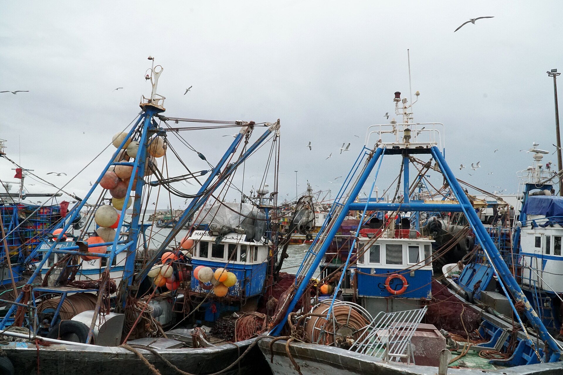 Blue fishing boats in the port of Essaouira